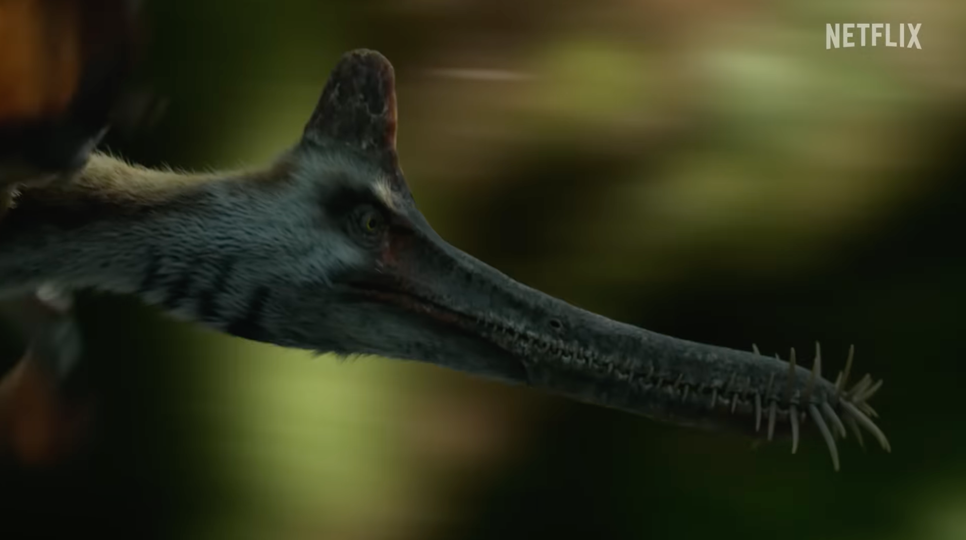 Quick Look: "THE DINOSAURS"